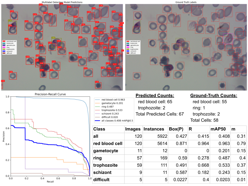Multilabel Detection Model Results