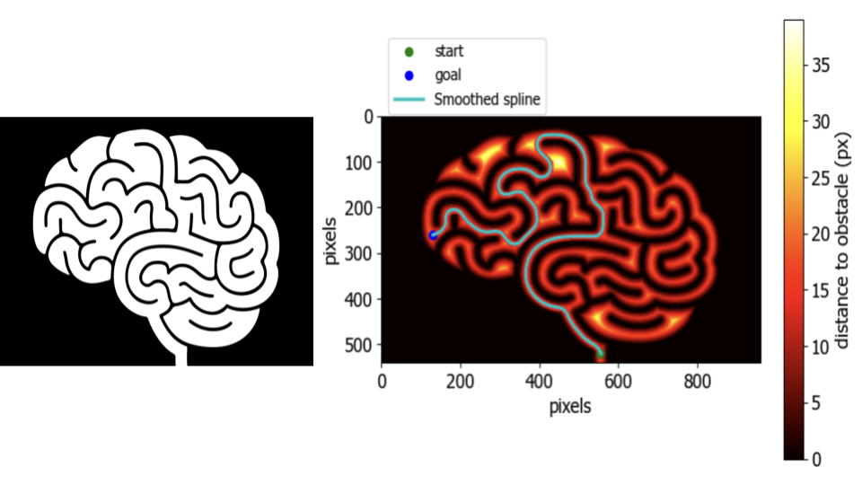 Brain Maze Map Image